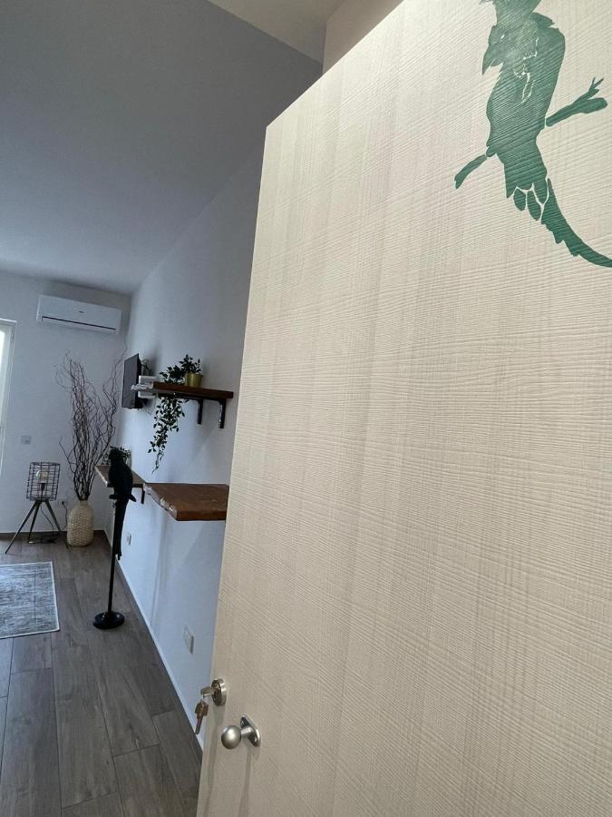 Urban Jungle Rooms Napoli Eksteriør bilde